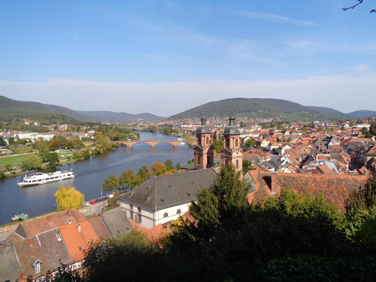 Erfblick-apartments Eichenbuhl (Miltenberg)